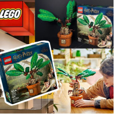 (25年2月底) LEGO x Harry Potter 曼德拉草模型套裝