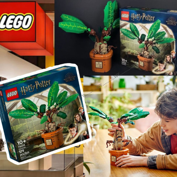 (25年2月底) LEGO x Harry Potter 曼德拉草模型套裝